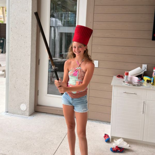 St Pete. Beach - Friendly Hibachi Chef at Home